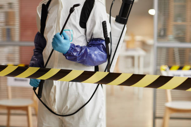 Professional Sewage Cleanup technician working in Stehekin, WA
